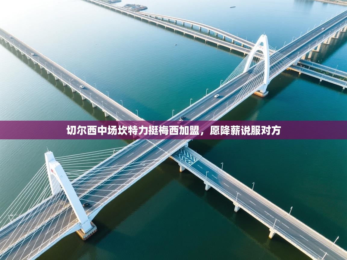 切尔西中场坎特力挺梅西加盟，愿降薪说服对方  第1张