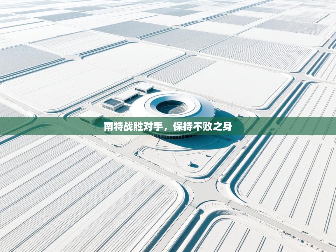 南特战胜对手，保持不败之身  第1张