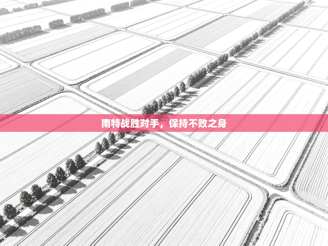 南特战胜对手，保持不败之身  第2张