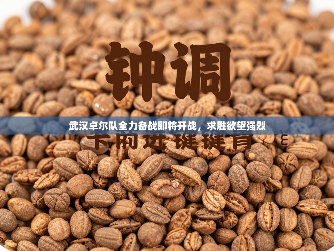 武汉卓尔队全力备战即将开战，求胜欲望强烈