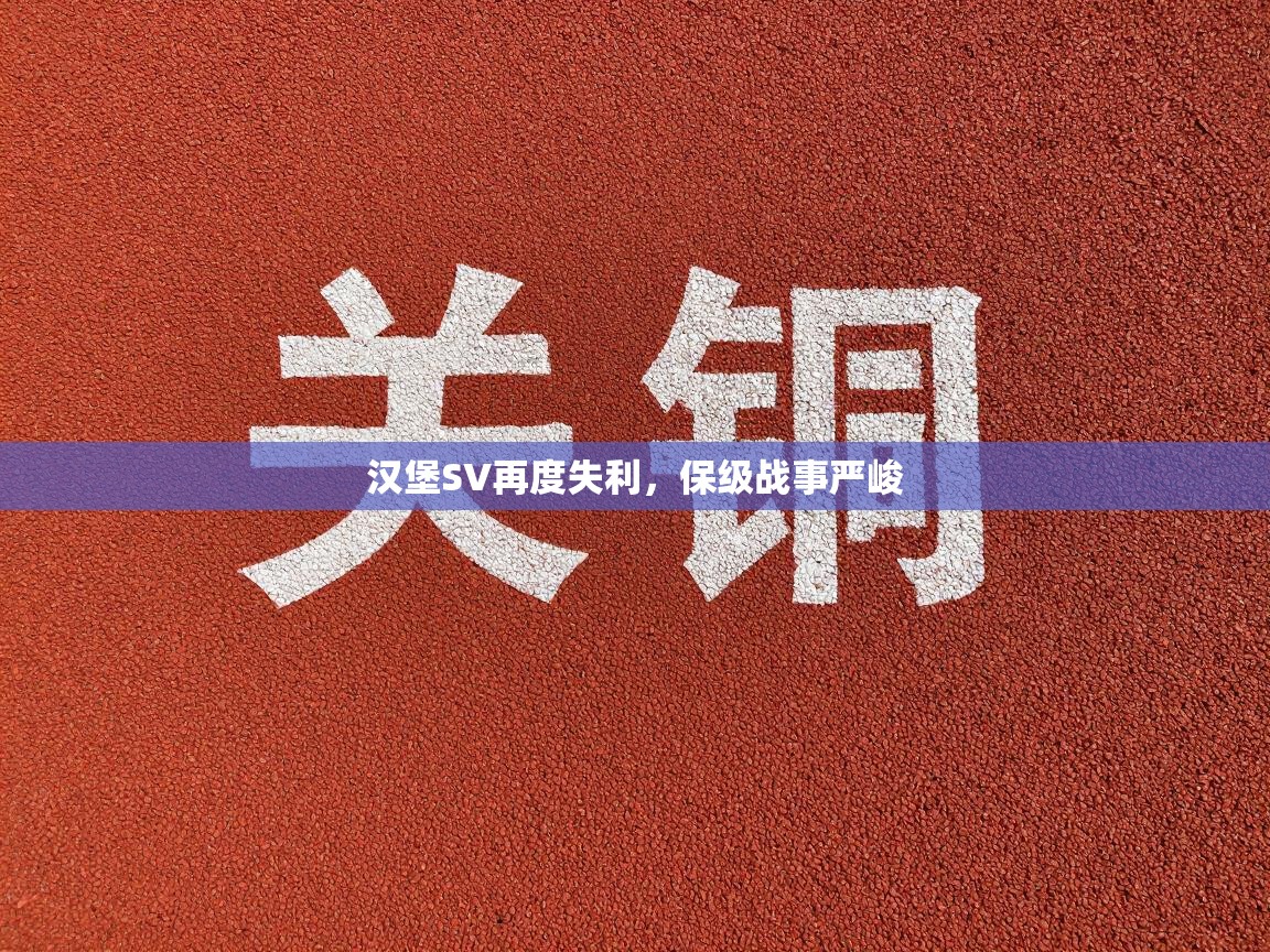 汉堡SV再度失利，保级战事严峻